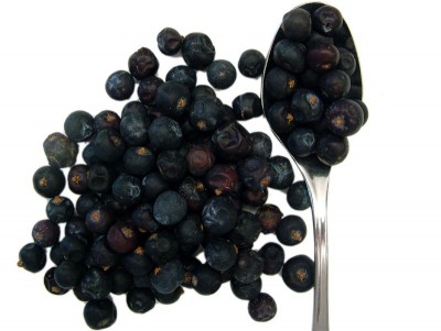 Juniper Berries (Juniperus communis)