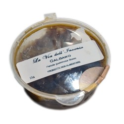 Basic Incenses, Resins, Galbanum (Ferula