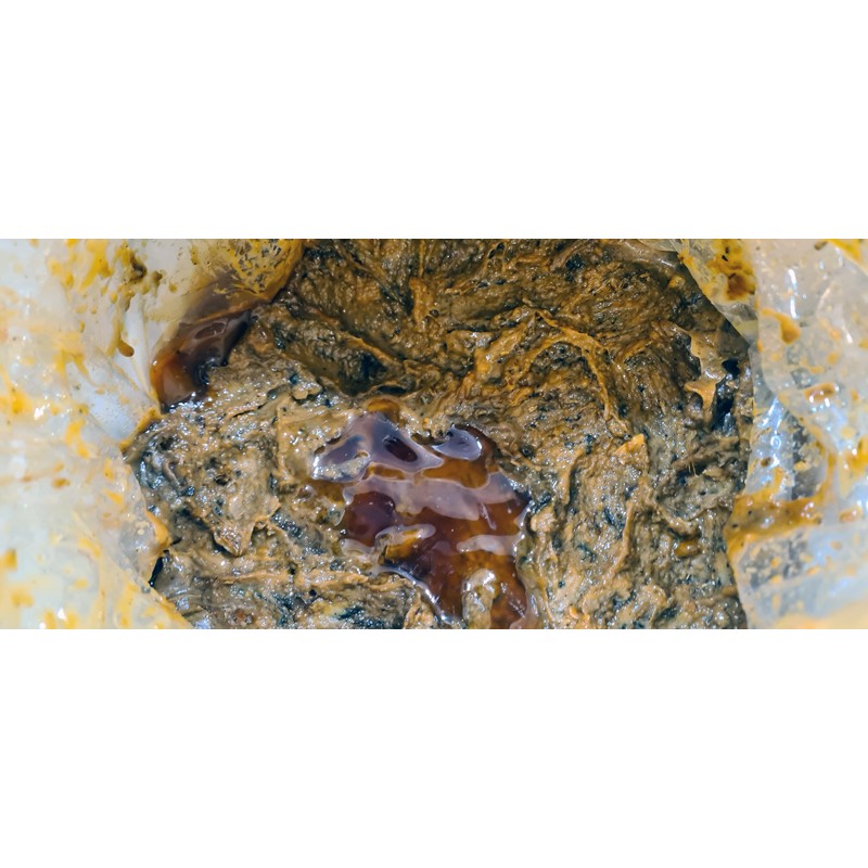 Basic Incenses, Resins, Galbanum (Ferula