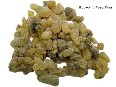 Incenso (Boswellia Papyrifera)