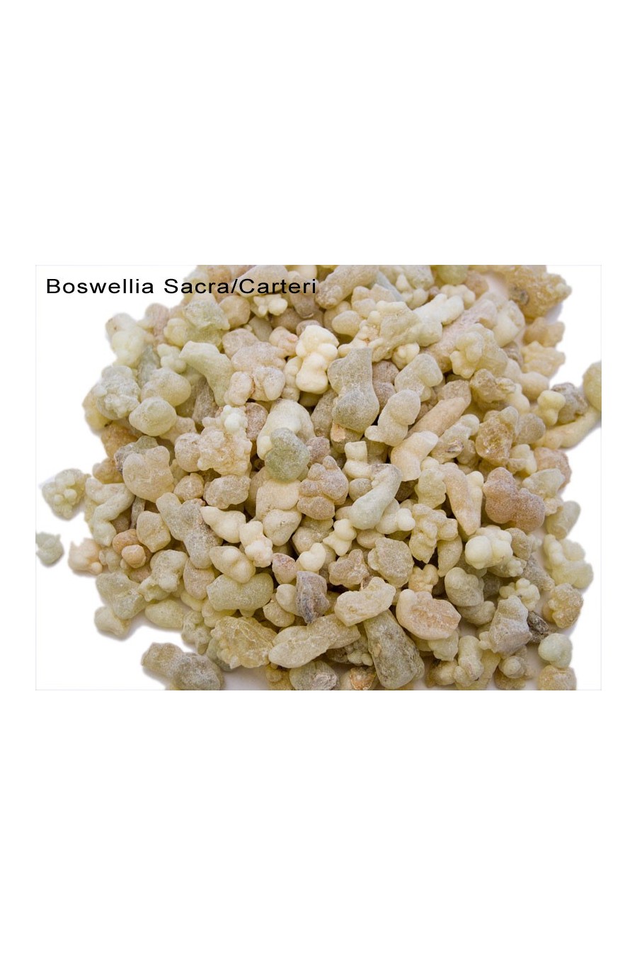 Frankincense (Boswellia sacra/carterii)